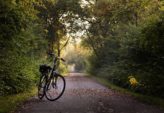 Covid trening: En komplett guide til treningsmetoder i pandemien