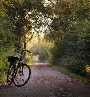 Covid trening: En komplett guide til treningsmetoder i pandemien