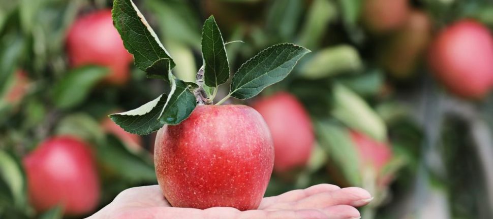 Mat med B-vitaminer: En dybdegående oversikt