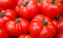 D-vitamin mangel: En dybdegående analyse av symptomer, årsaker og behandling