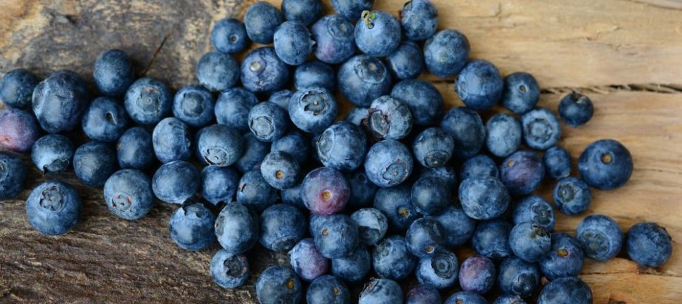Er keto diett farlig